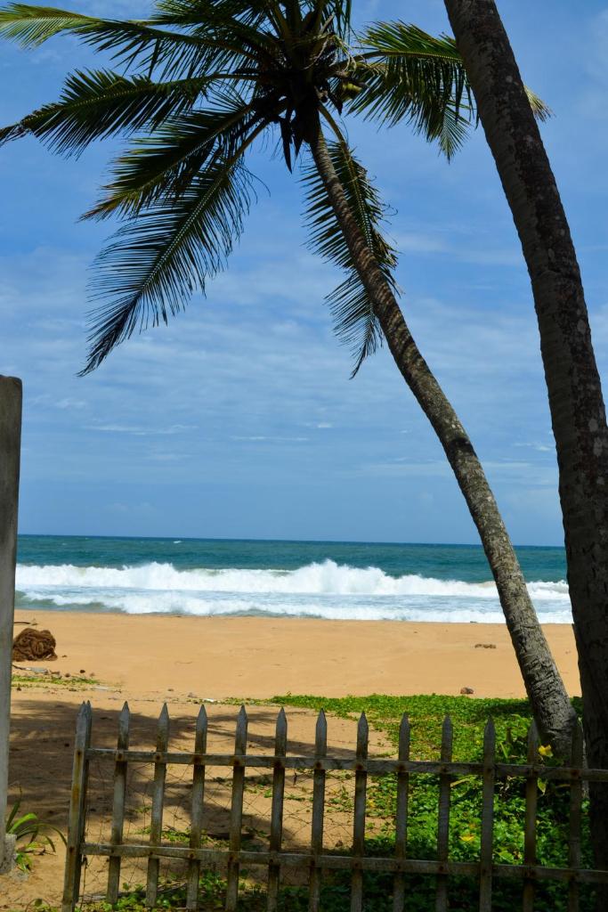Hikkaduwa Beach House photo 2