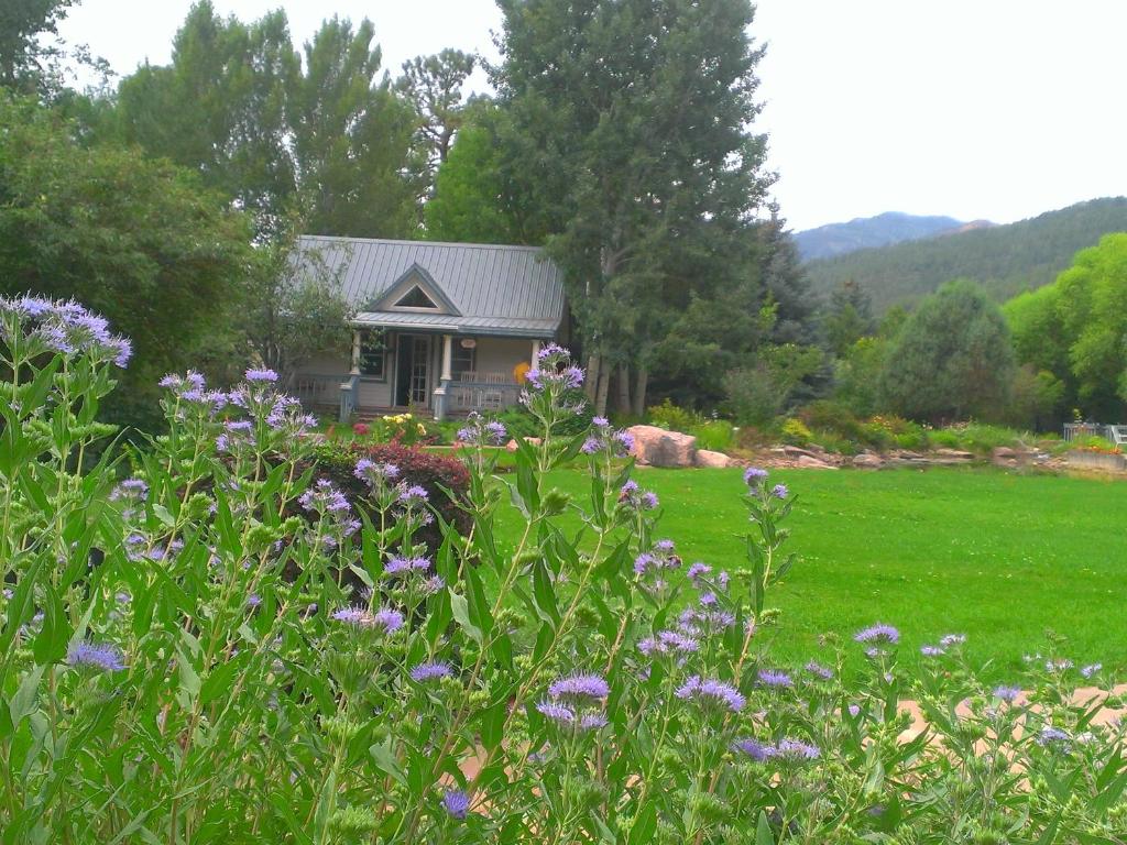 Apple Orchard Inn image