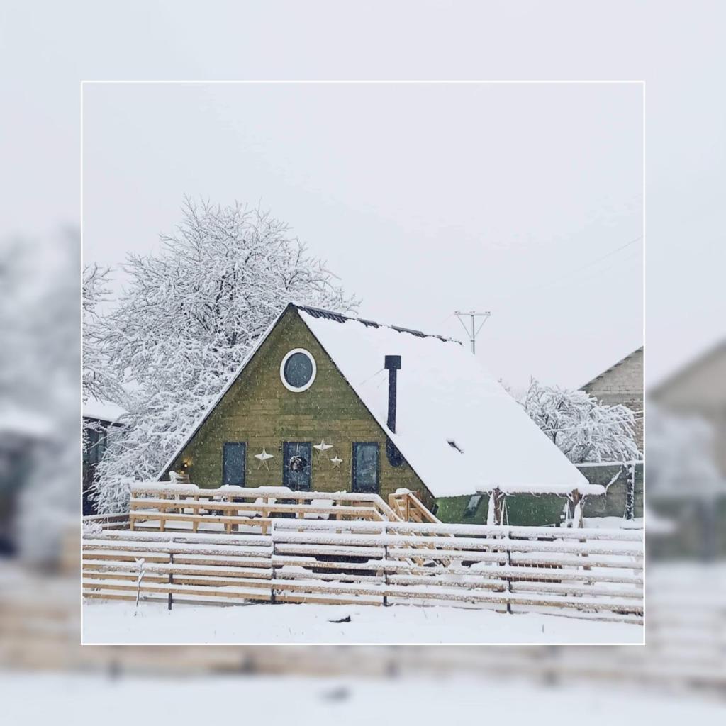 Wooden cottage "green house" in Bakuriani photo 1