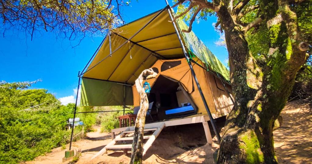 Back of Beyond Dune Camp - Yala - Tap to explore photos
