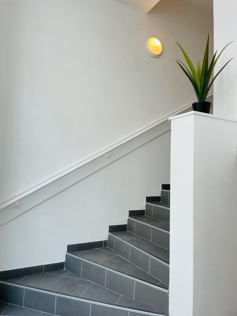 Loft 60m2 2-4 personnes avec garage et wifi 3 Rue St Joseph St Etienne proche centre-ville photo 1
