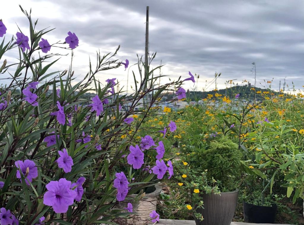 Nhà nghỉ Hùng Hoa