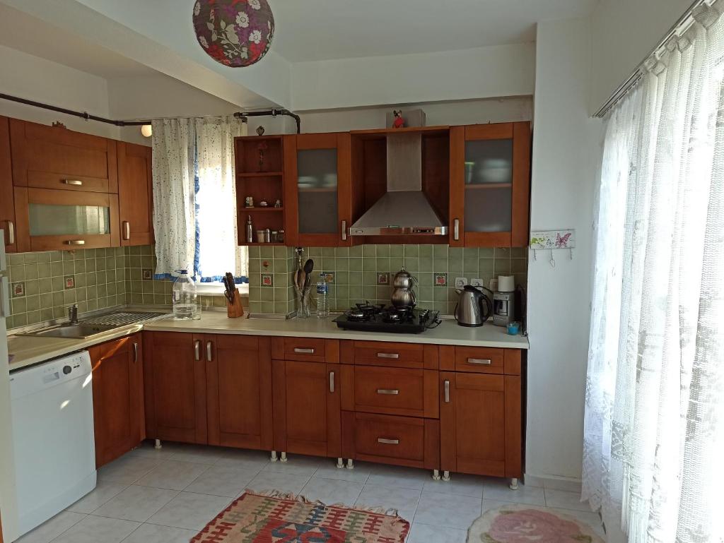 Garden flat in Prince islands, Heybeliada photo 1