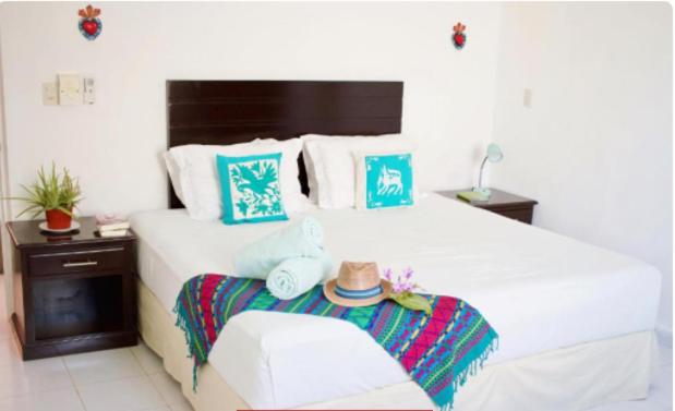 CASA FRIDA FULL APARTMENTS holbox photo 3