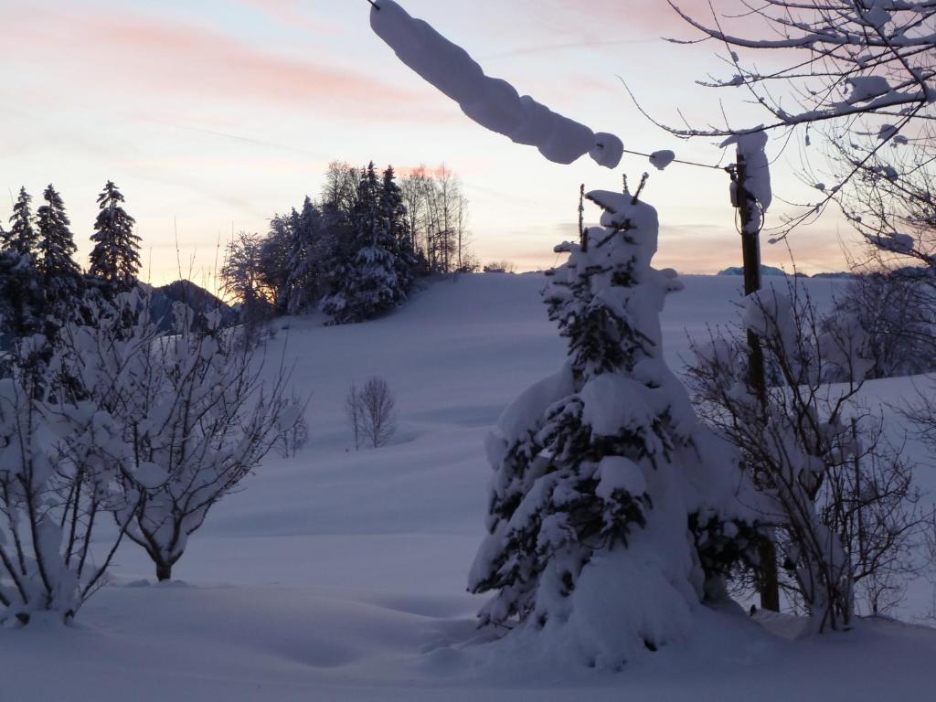 Haus Alpenhof photo 4