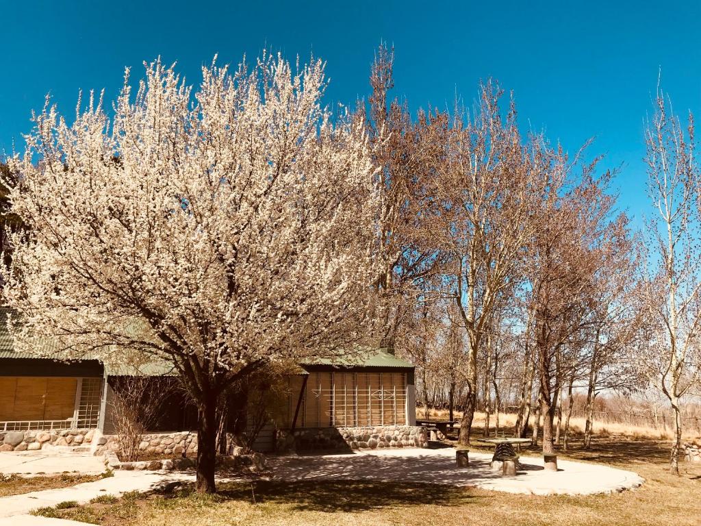 Posada Doña Tina