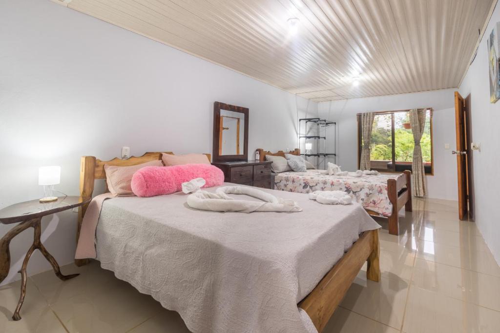 Casa Danta photo 4