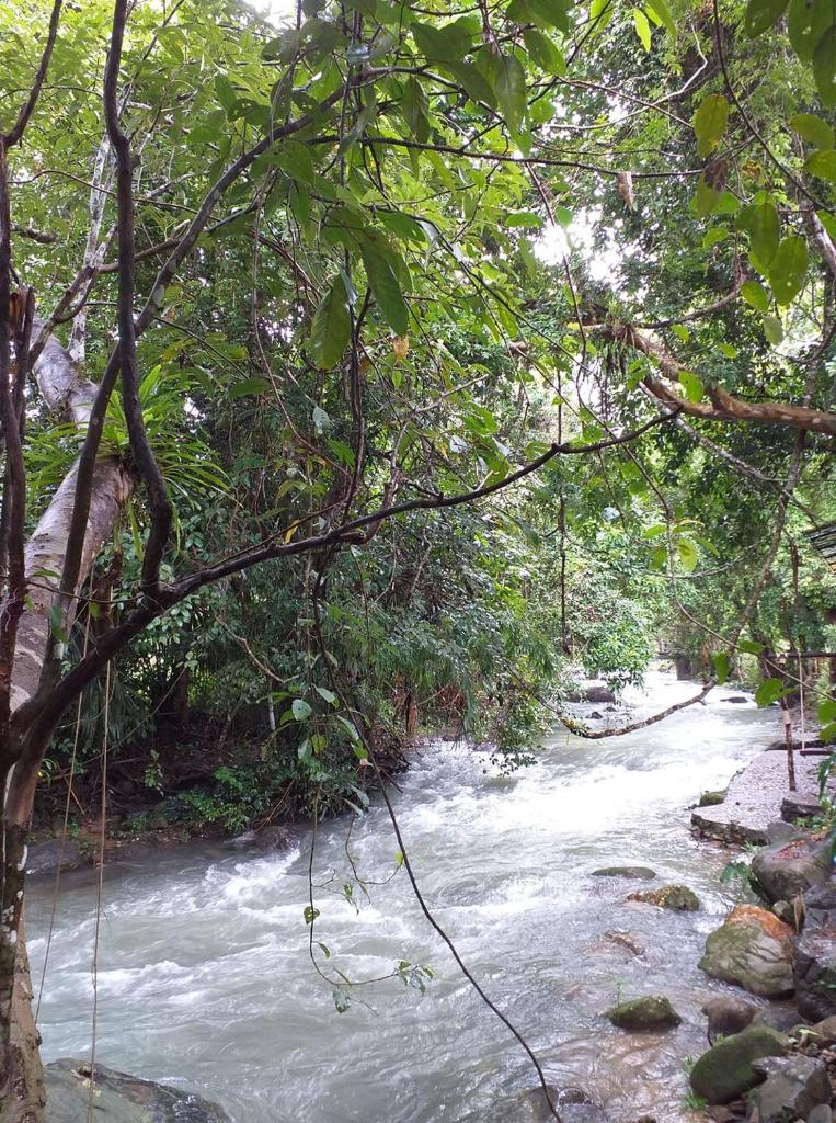 Tree Tops River Huts photo 2