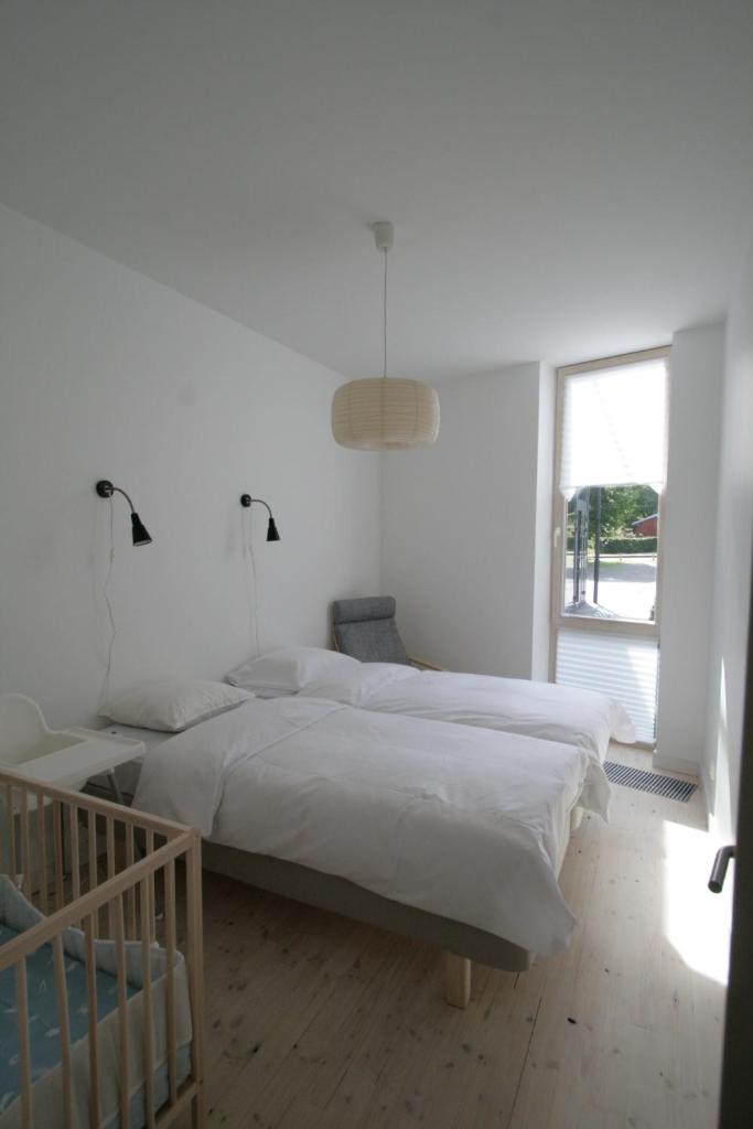 Miško Apartamentai photo 3