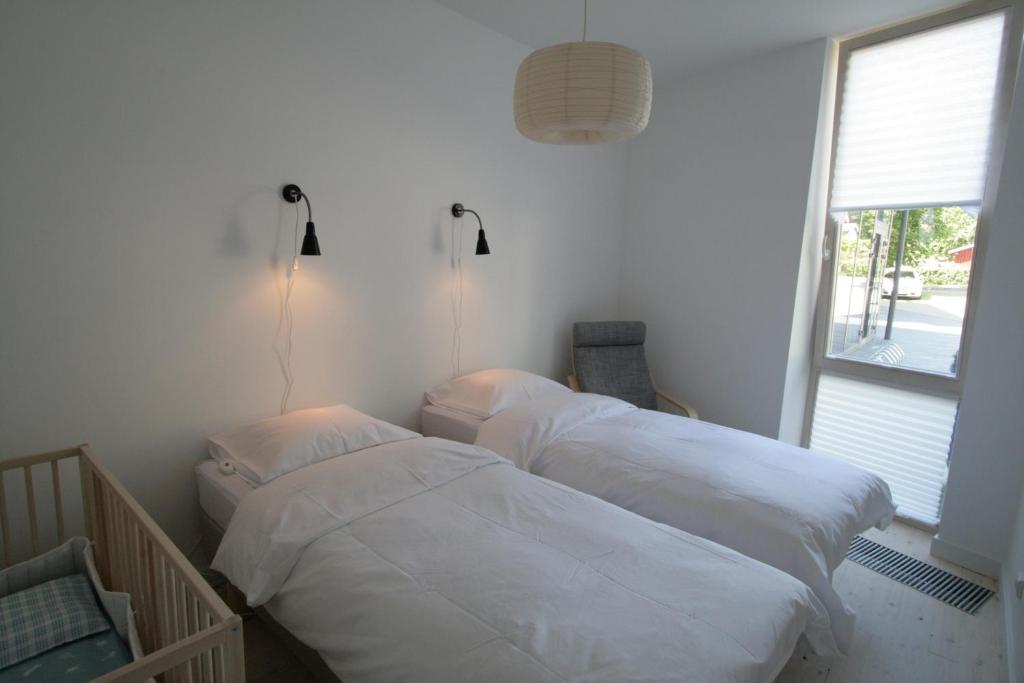 Miško Apartamentai photo 4