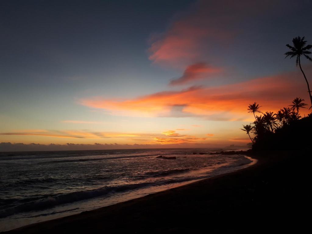 My Home Resort photo 3