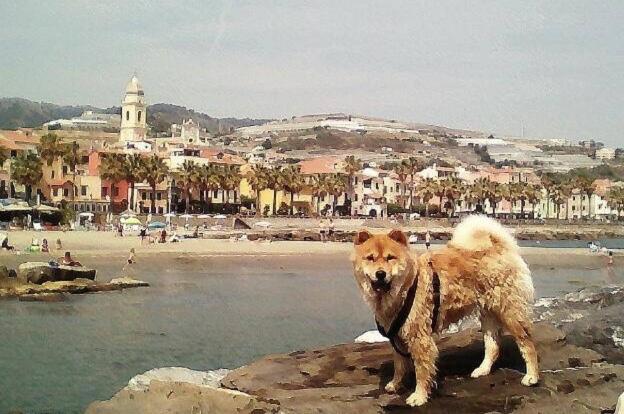 Approdo photo 4