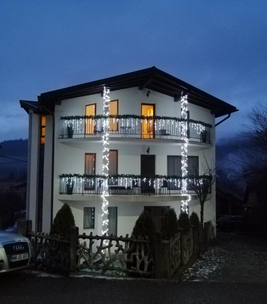 Pensiunea Timiș photo 1
