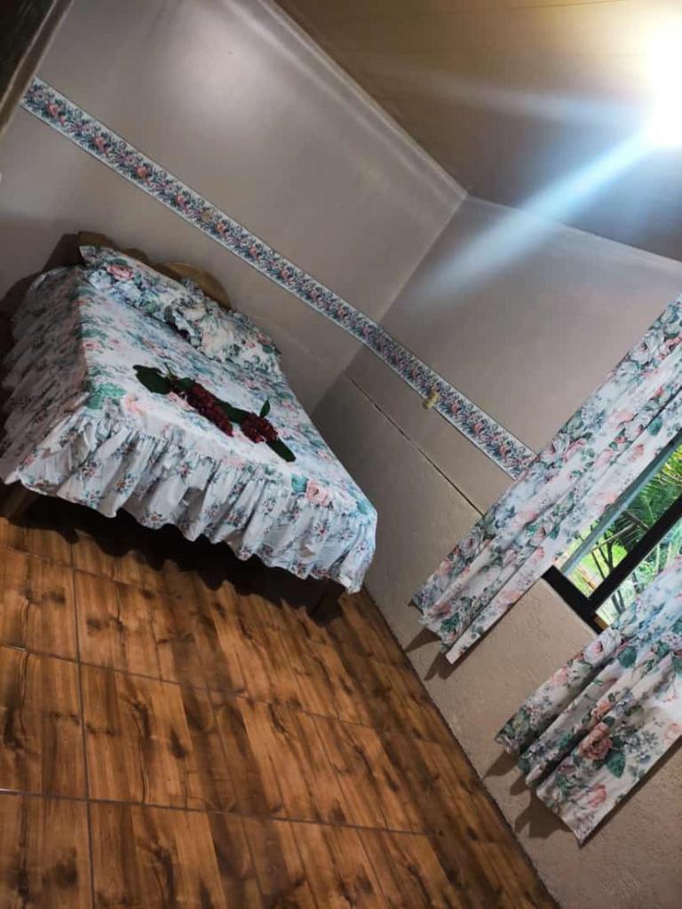 Amphibia House photo 4