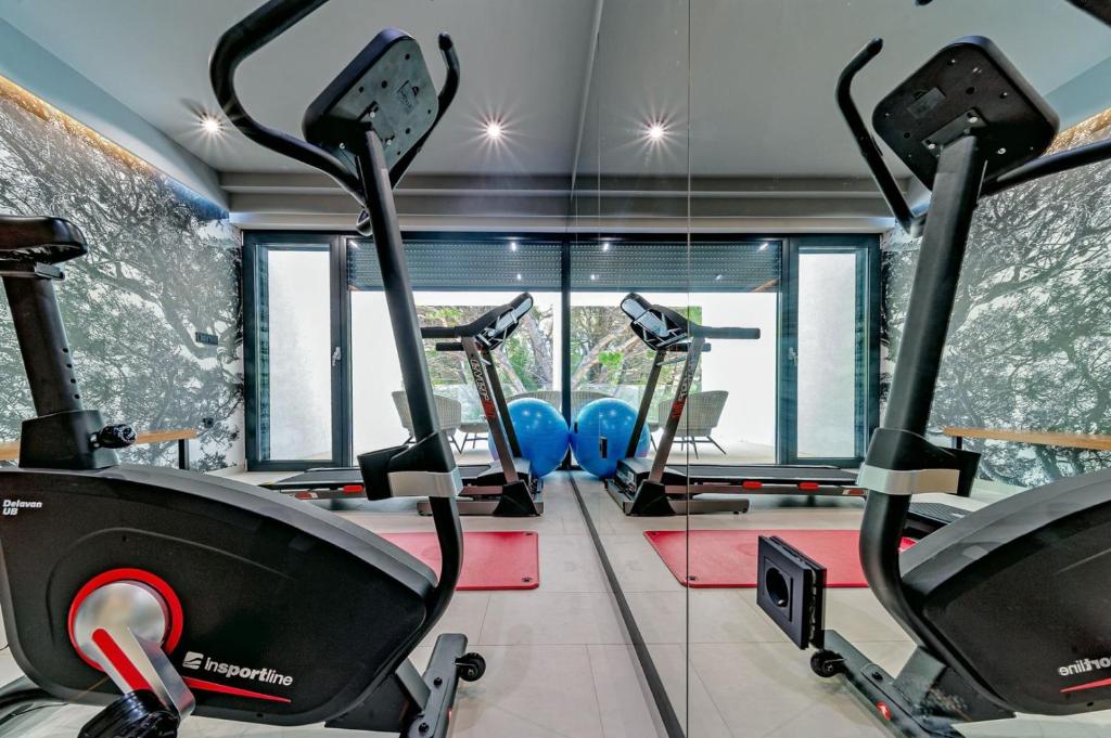 Luxury Villa Delight II Promajna with pool, gym, sauna and jacuzzi photo 4
