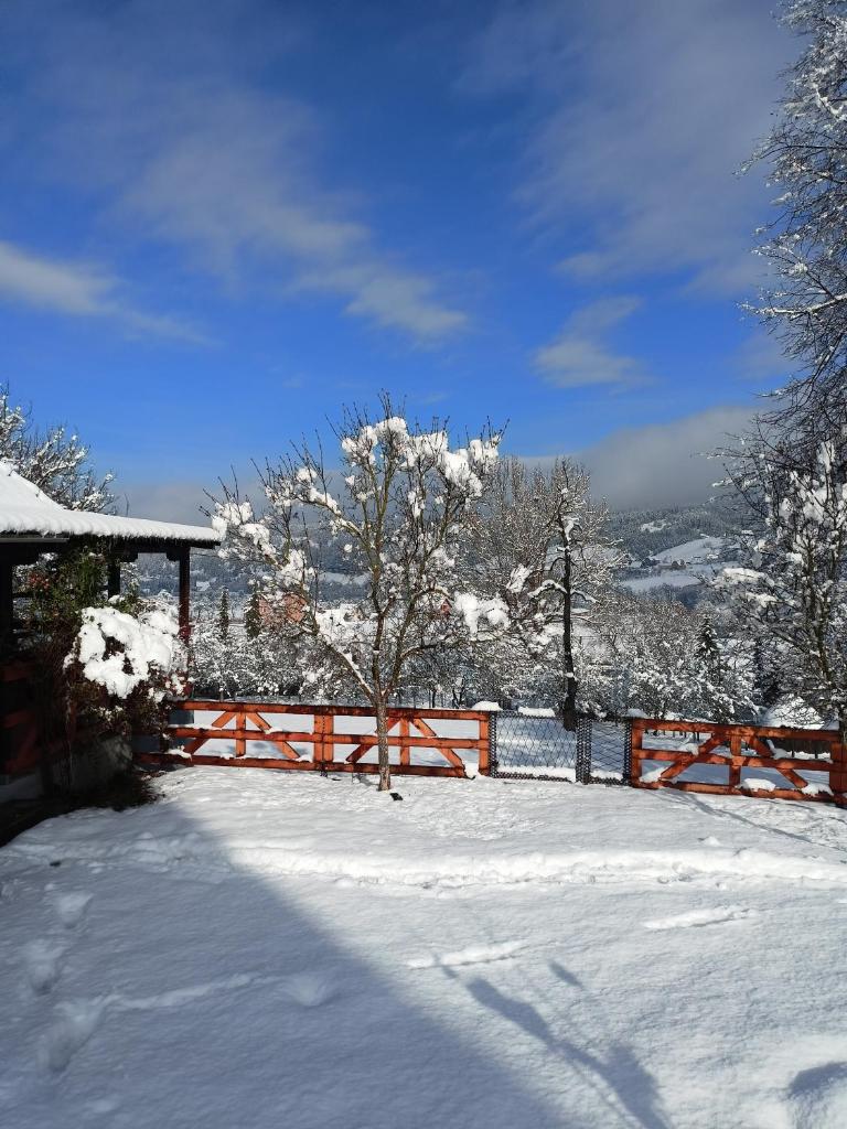 Brvnara Ljubičica photo 4