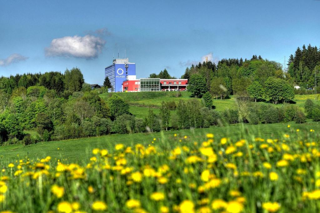Hotel Am Bühl photo 4
