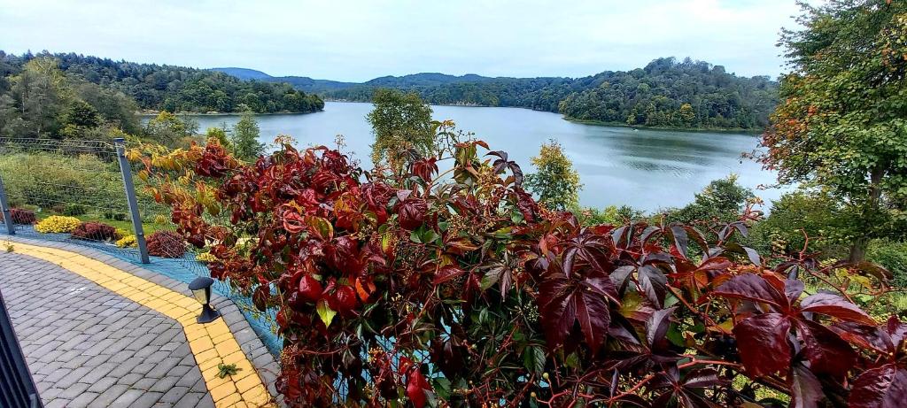 Domek Nad River San photo 4