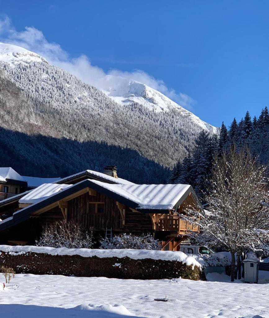 Le Petit Chalet de Montriond photo 1