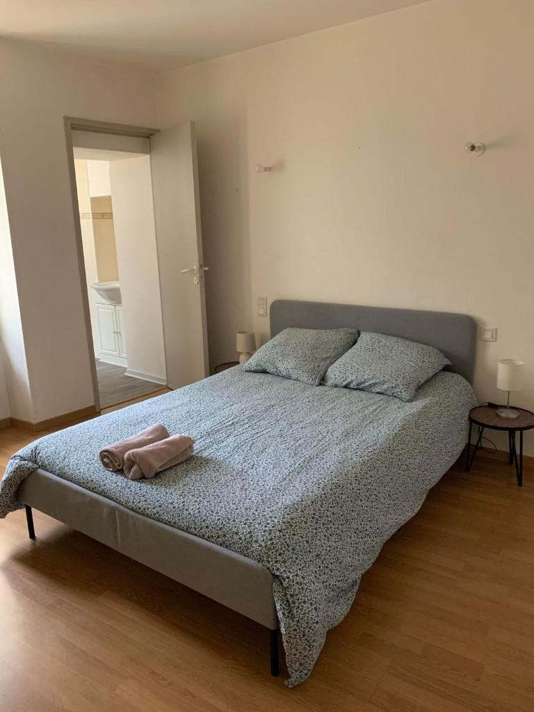 Ravissant Appartement T3 hypercentre de Mazamet photo 1