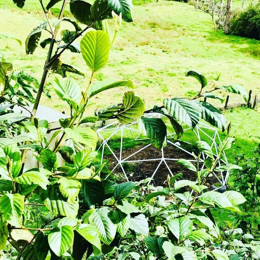 Glamping Bosque del Colibri photo 4