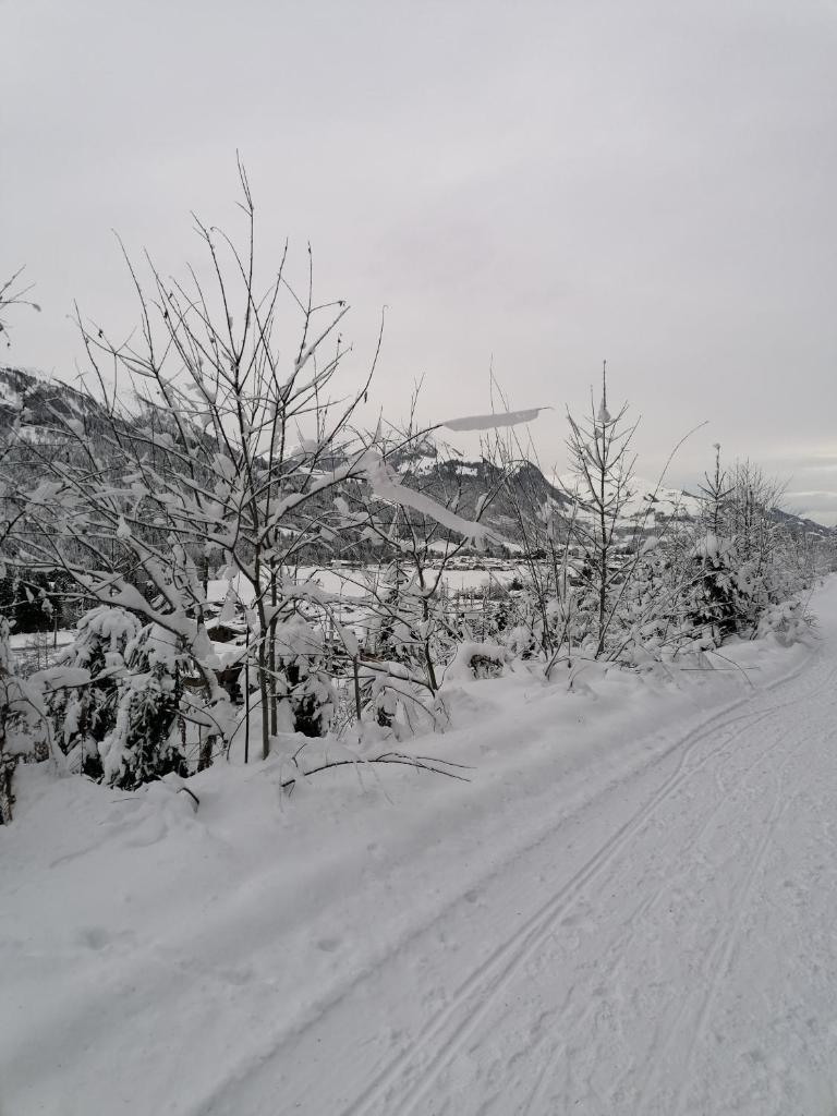 Ferienwohnungen Vordergriess photo 3