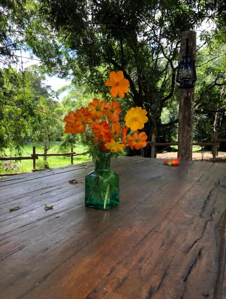 Vivenda dos Guaranys -Uma imersão na natureza - Casa photo 3