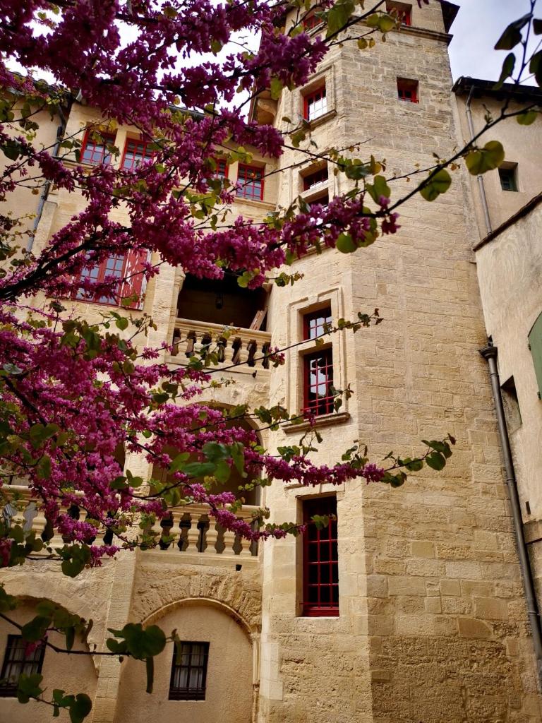 appartement a 50 m de la place aux herbes photo 2