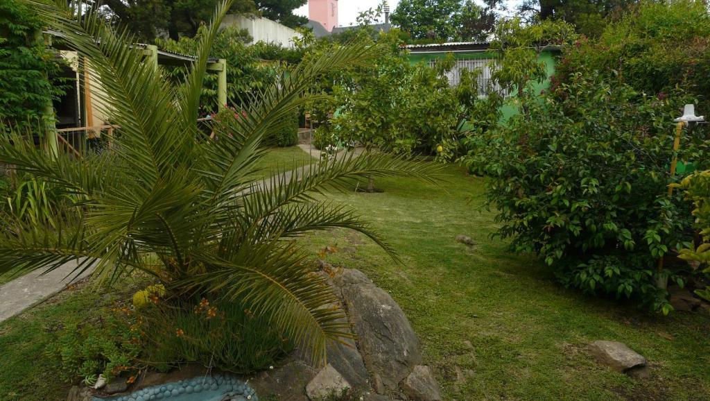 El Jardin de Nora photo 1