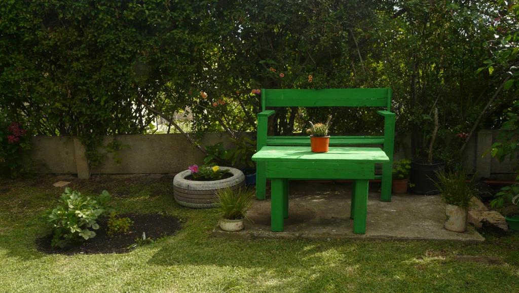 El Jardin de Nora photo 3
