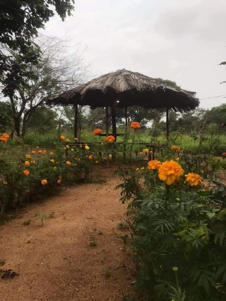 කැලෑව Kelewa Eco Resort photo 3