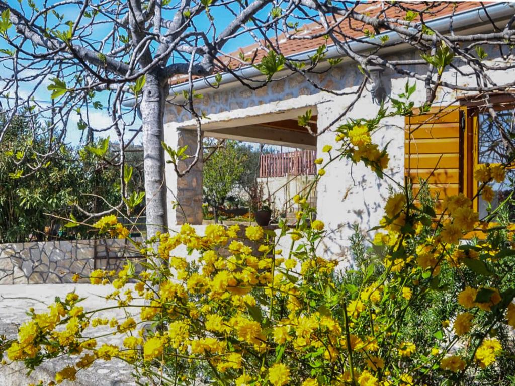 Holiday Home Ceko by Interhome photo 1