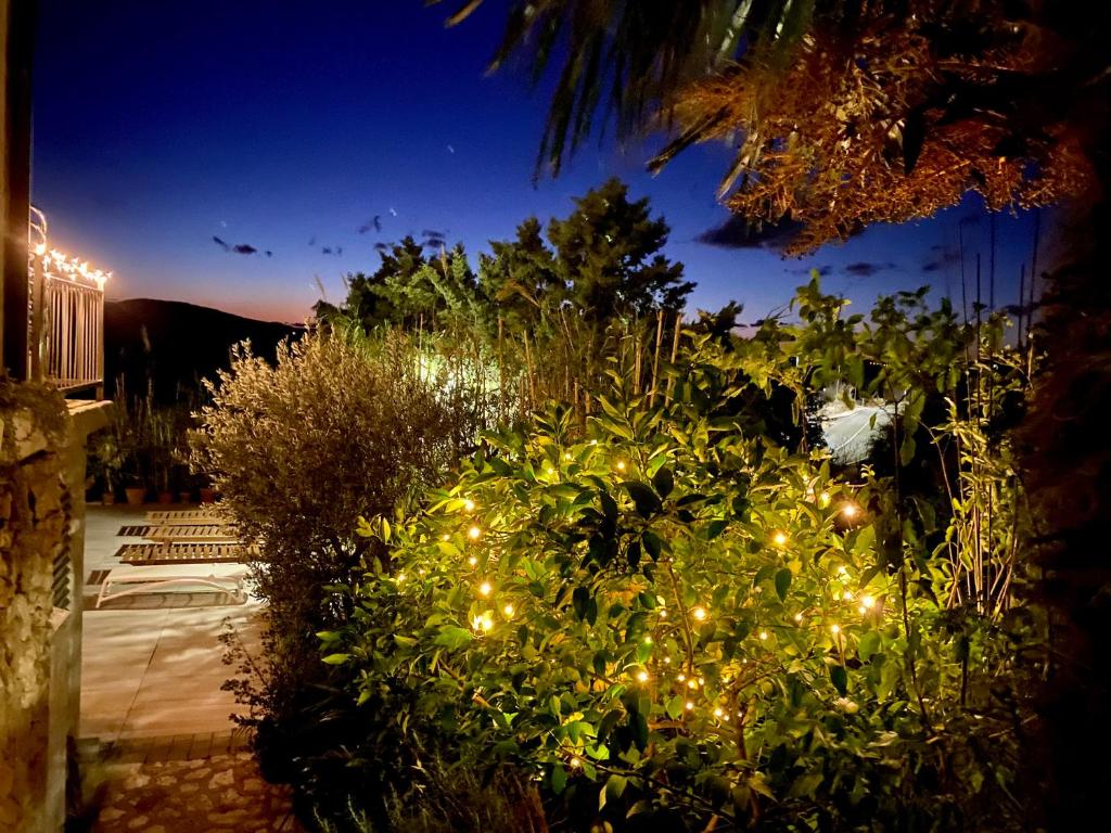 LOFT-Beach-apartments RATKO photo 1