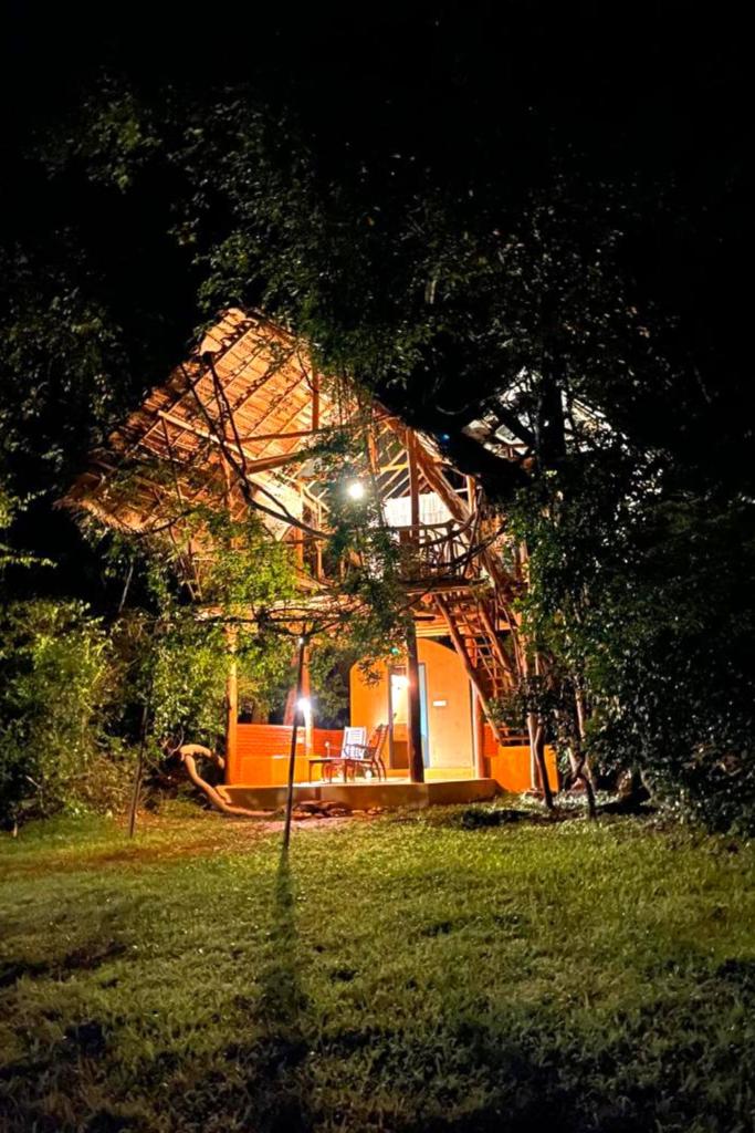 Back of Beyond - Wild Haven photo 1