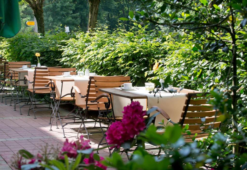 Wyndham Garden Potsdam photo 2