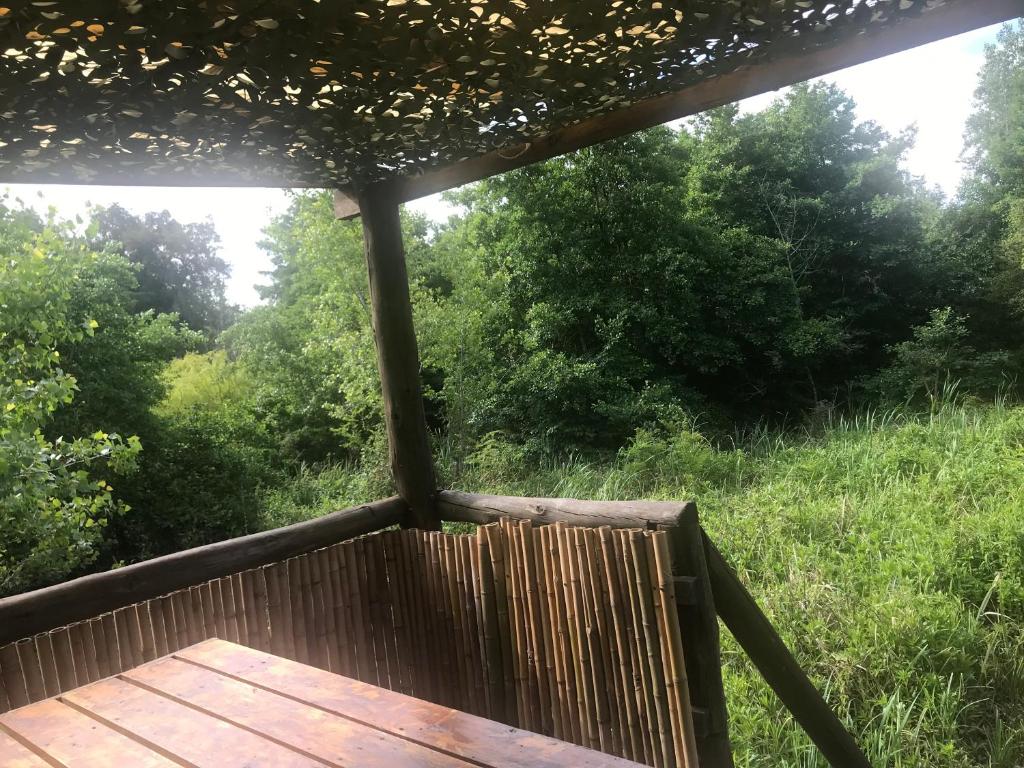 Cabaña en el Delta Arroyo Pajarito a 20 minutos de navegación photo 4