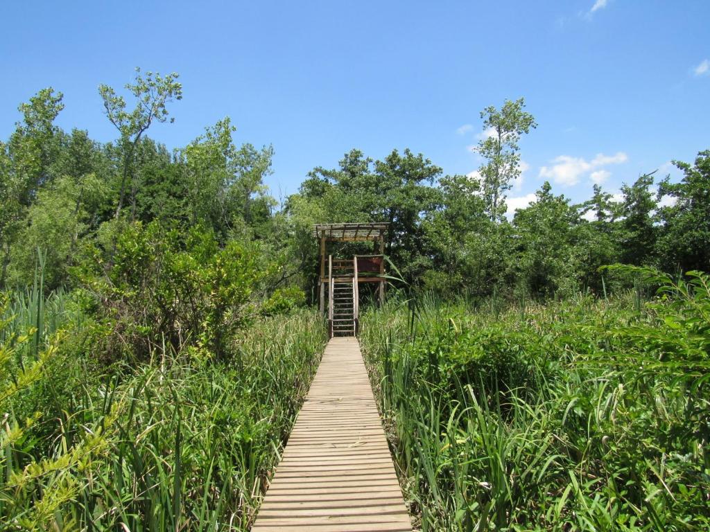 Cabaña en el Delta Arroyo Pajarito a 20 minutos de navegación photo 3