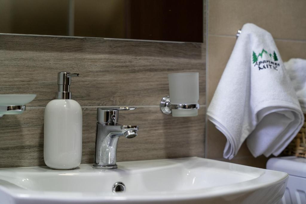 Apartman Mitic, Zlatibor photo 2