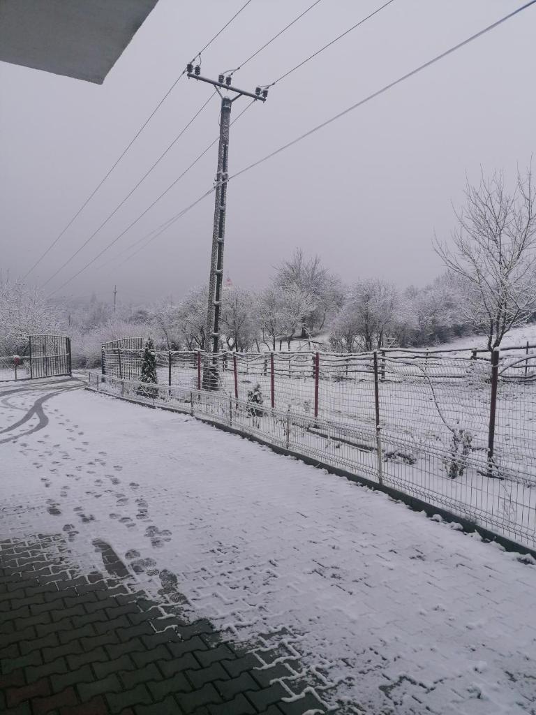 Casa Tonyza photo 4