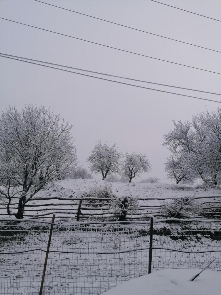 Casa Tonyza photo 2