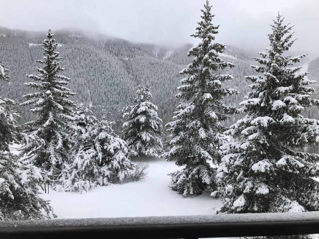 Superbe 2 pcs cabine terrasse vue féérique pistes et montagnes photo 3