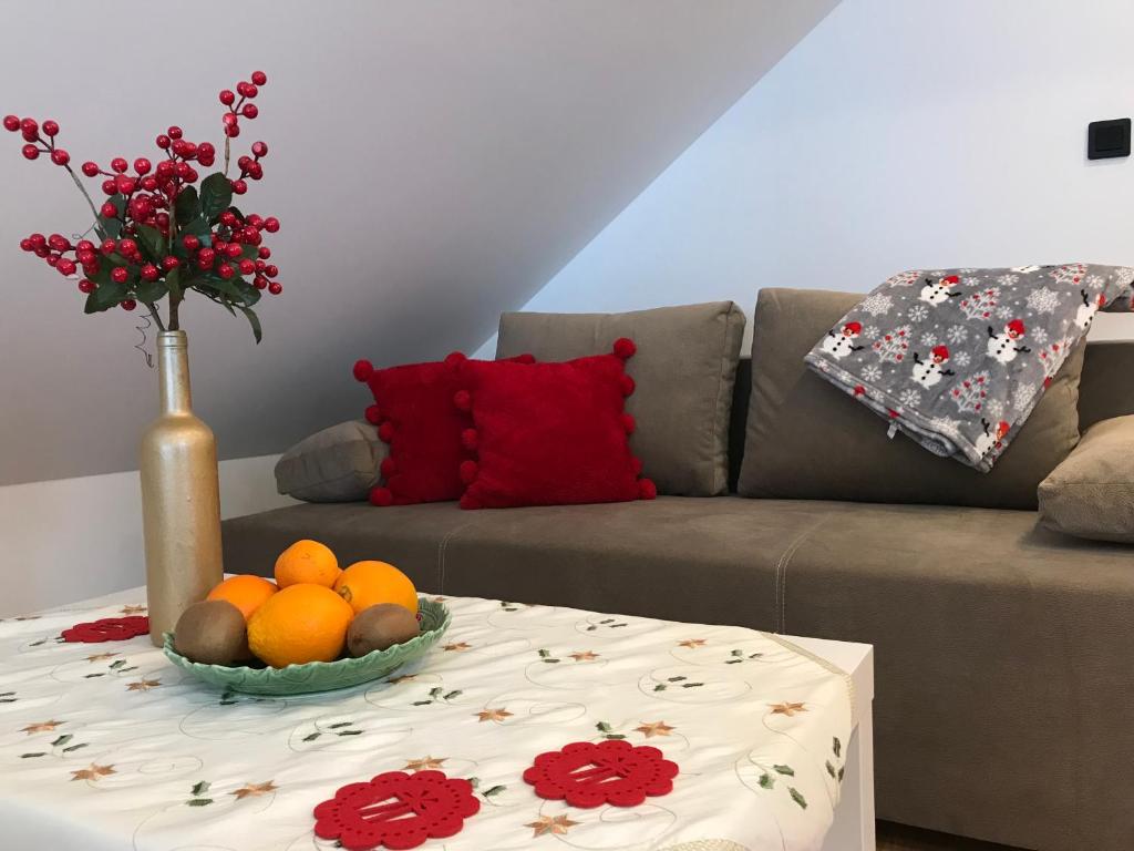 Apartamenty GOSZOWIANKA photo 4