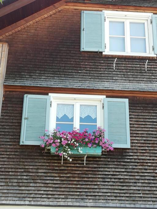 Gemütliche Wohnung in Einfamilienhaus photo 1