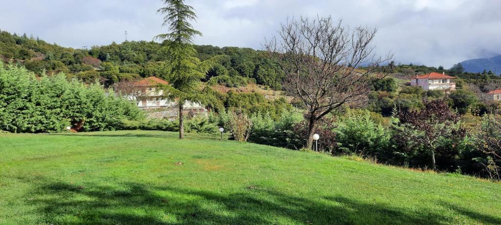 Country Home Giannaras photo 2