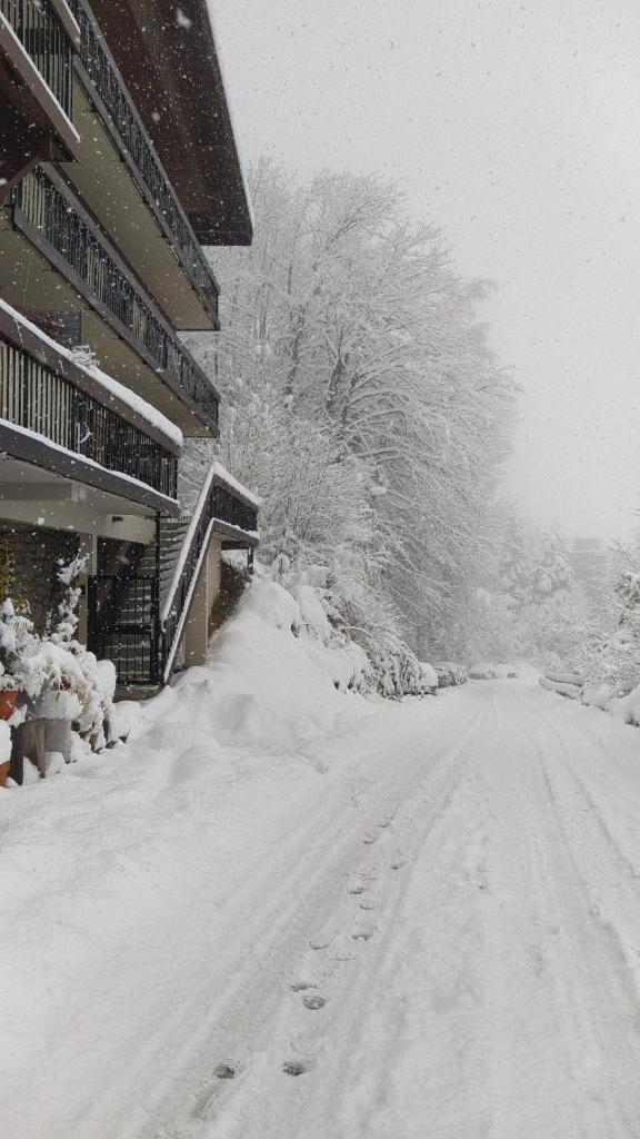 Chalet du Vernay photo 4