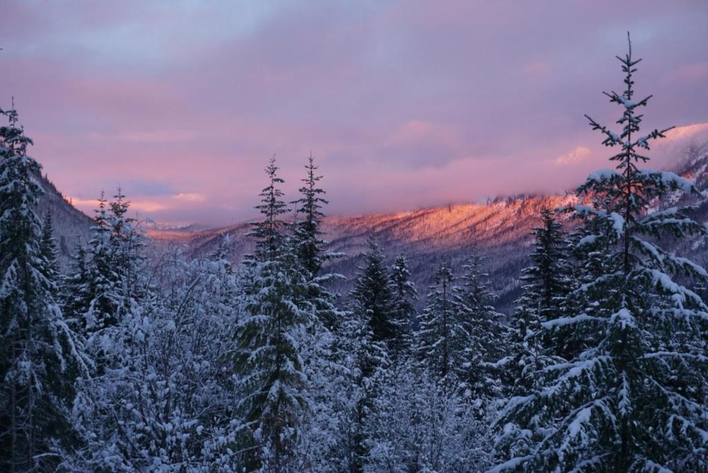 Hot Tub Cool Views: Roaring Creek Cabin photo 2