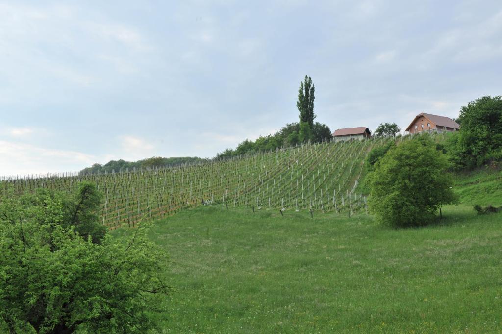 Vineyard Cottage Keglic photo 2
