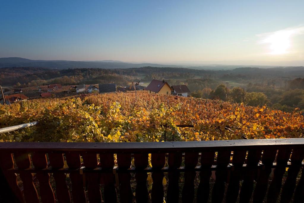 Vineyard Cottage Brodaric photo 3