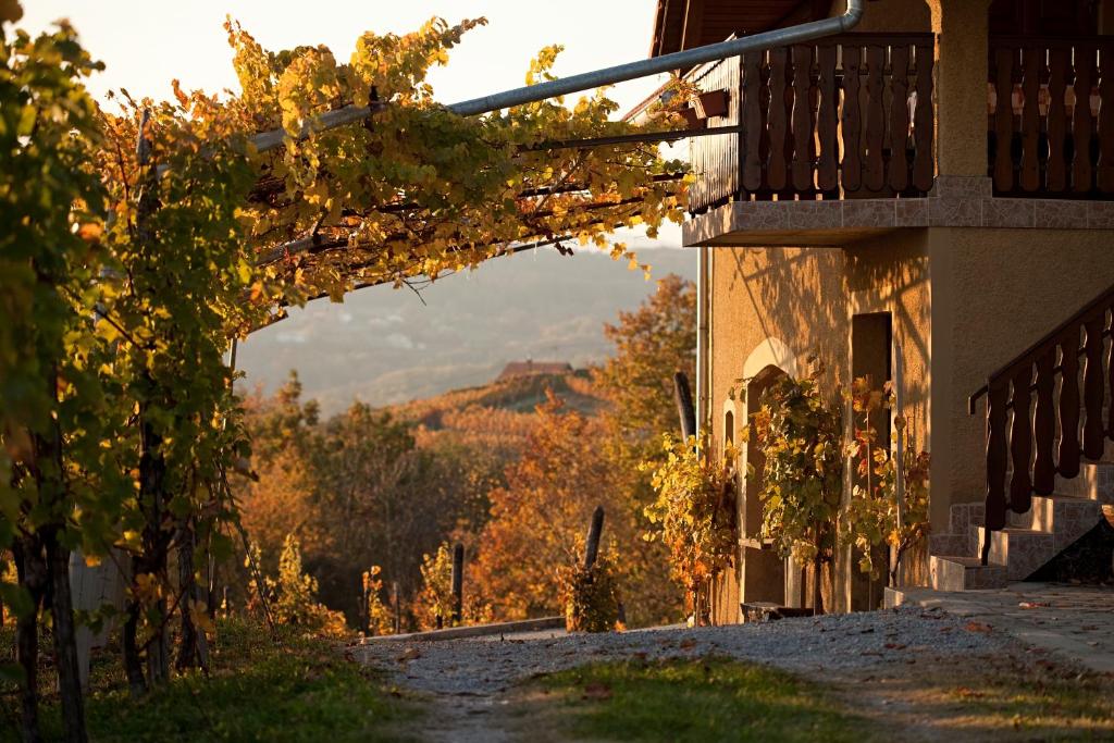 Vineyard Cottage Brodaric photo 1