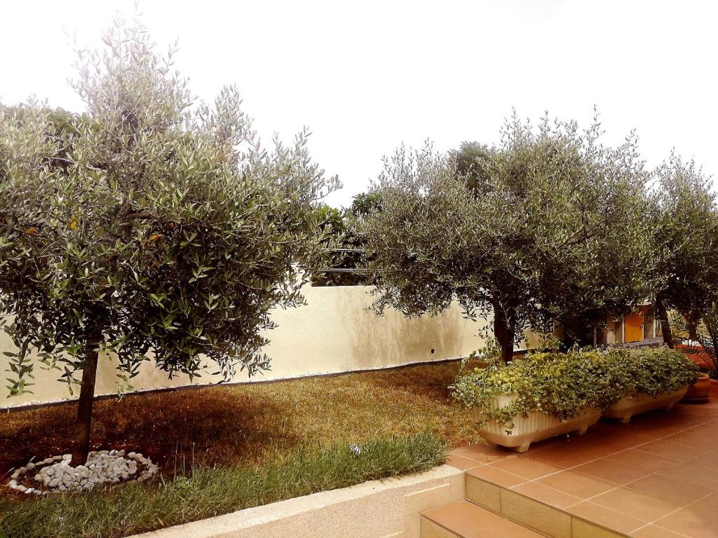 Villa Sweet Home photo 3